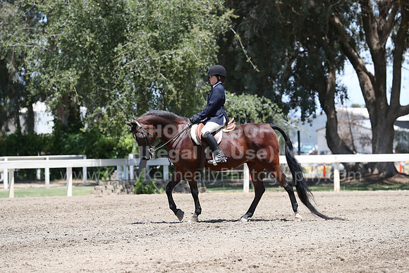 DAHA_Spring21_Sat_3365