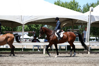 DAHA_Spring21_Sat_3371