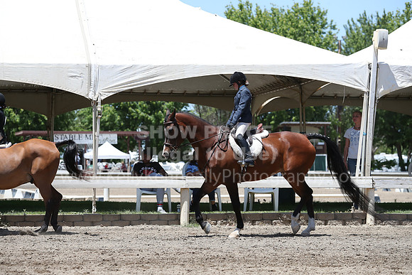 DAHA_Spring21_Sat_3371