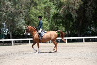 DAHA_Spring21_Sat_3376