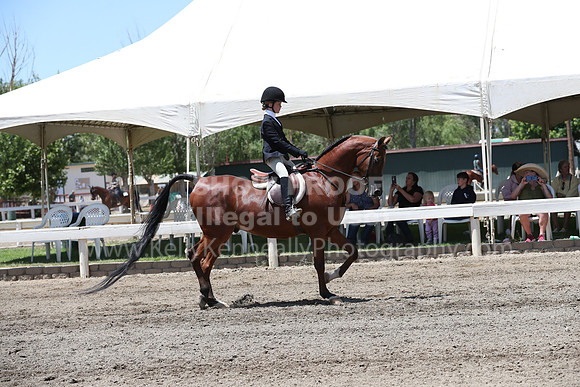 DAHA_Spring21_Sat_3404