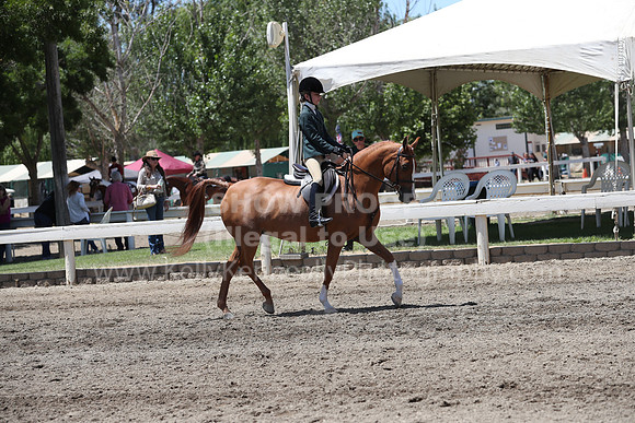DAHA_Spring21_Sat_3408