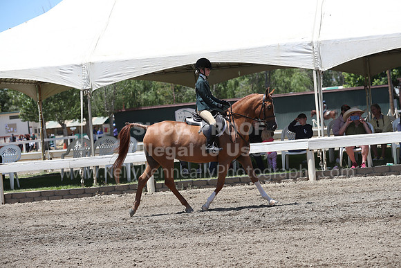 DAHA_Spring21_Sat_3410