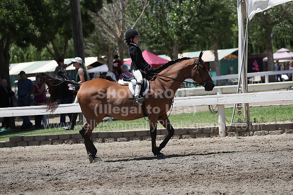 DAHA_Spring21_Sat_3414
