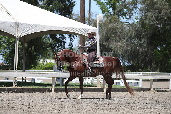DAHA_Spring21_Sat_3432