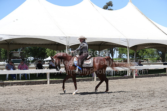 DAHA_Spring21_Sat_3436