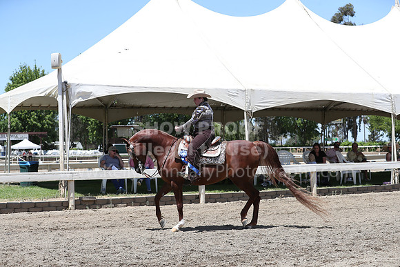 DAHA_Spring21_Sat_3437