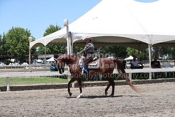 DAHA_Spring21_Sat_3438