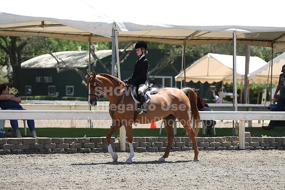 DAHA_Spring21_Sat_3447
