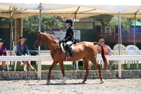 DAHA_Spring21_Sat_3445