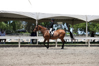 DAHA_Spring21_Sat_3463