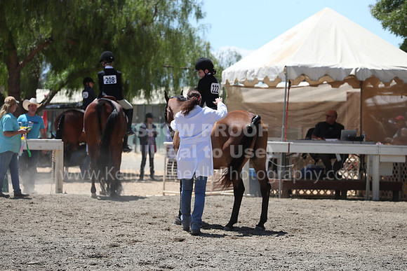 DAHA_Spring21_Sat_3479