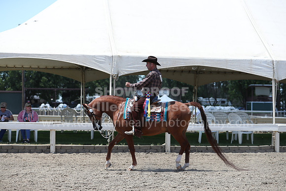 DAHA_Spring21_Sat_3553
