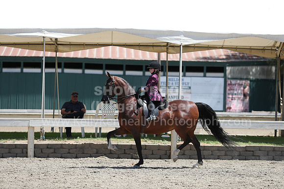 DAHA_Spring21_Sat_3555