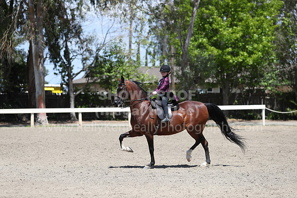DAHA_Spring21_Sat_3558