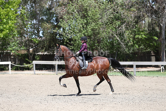DAHA_Spring21_Sat_3556