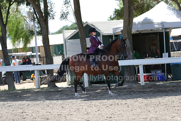 DAHA_Spring21_Sat_3565