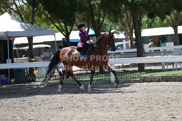 DAHA_Spring21_Sat_3568
