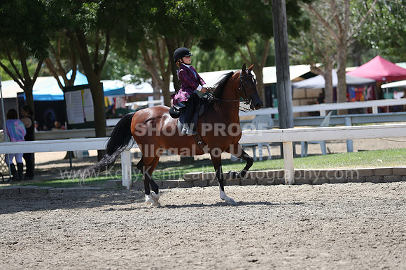 DAHA_Spring21_Sat_3569