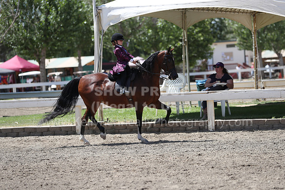 DAHA_Spring21_Sat_3570