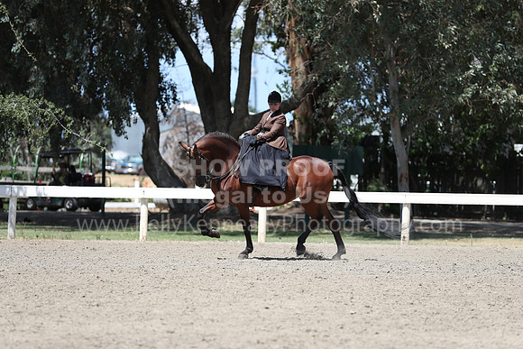 DAHA_Spring21_Sat_3586