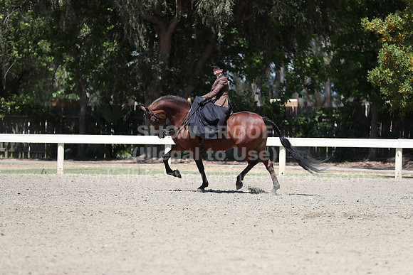 DAHA_Spring21_Sat_3583