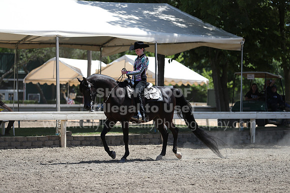 DAHA_Spring21_Sat_3597
