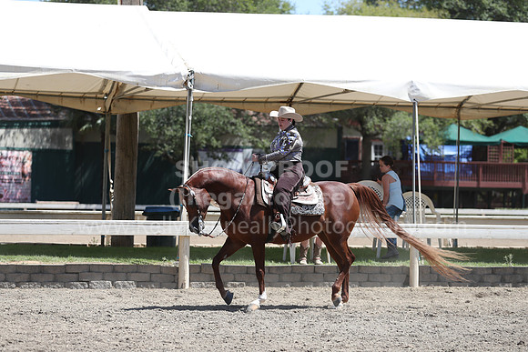 DAHA_Spring21_Sat_3613