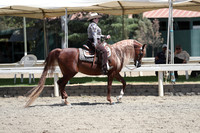 DAHA_Spring21_Sat_3622