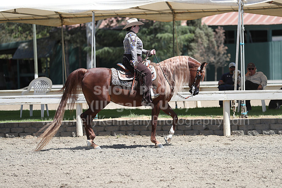 DAHA_Spring21_Sat_3622