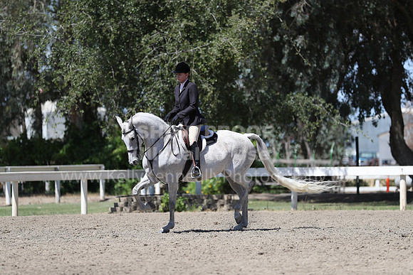 DAHA_Spring21_Sat_3669