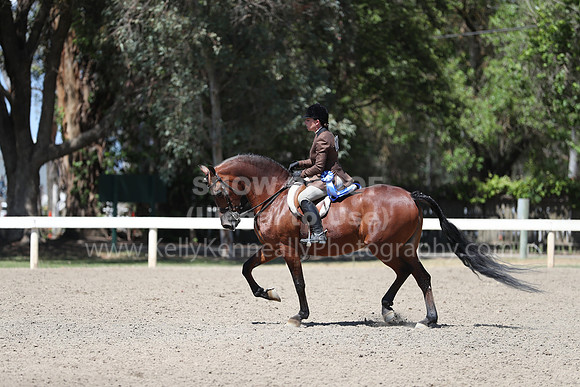 DAHA_Spring21_Sat_3675