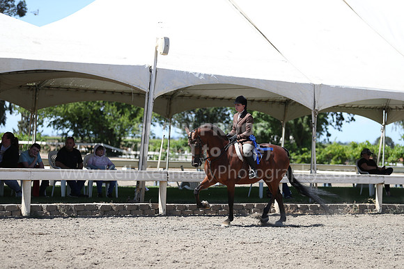 DAHA_Spring21_Sat_3680