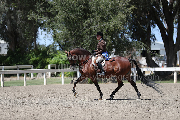 DAHA_Spring21_Sat_3677