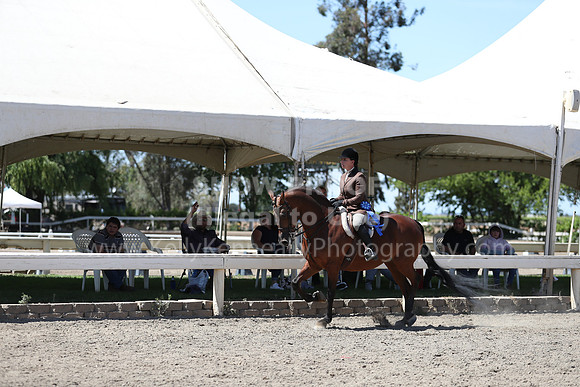 DAHA_Spring21_Sat_3681