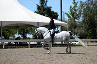 DAHA_Spring21_Sat_3694