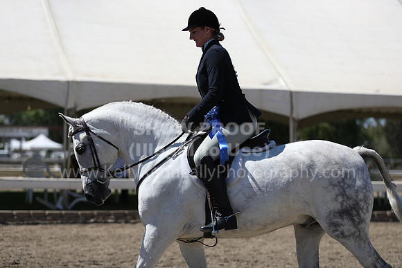DAHA_Spring21_Sat_3698