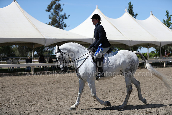 DAHA_Spring21_Sat_3697