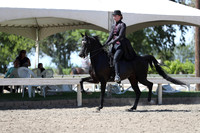 DAHA_Spring21_Sat_3735