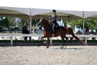 DAHA_Spring21_Sat_3729