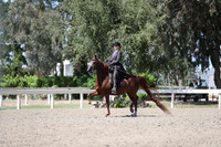DAHA_Spring21_Sat_3726