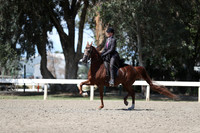 DAHA_Spring21_Sat_3744