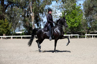 DAHA_Spring21_Sat_3762