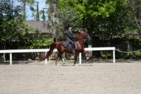 DAHA_Spring21_Sat_3764