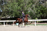 DAHA_Spring21_Sat_3767