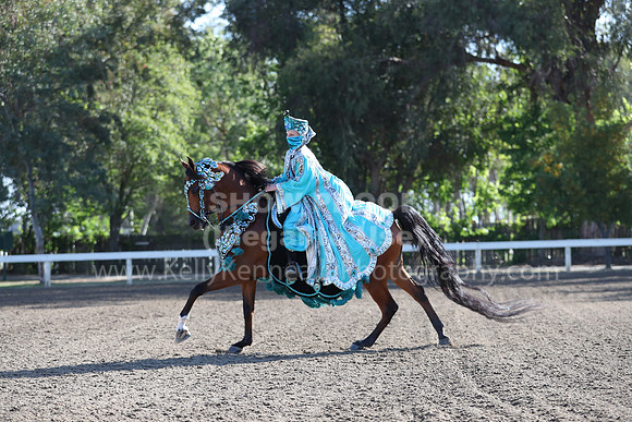 DAHA_Spring21_Sun_4135