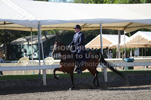 DAHA_Spring21_Sun_4226