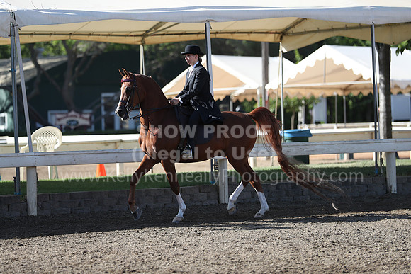 DAHA_Spring21_Sun_4216