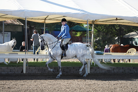DAHA_Spring21_Sun_4201