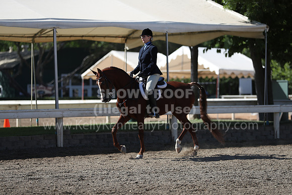 DAHA_Spring21_Sun_4431
